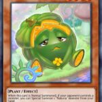 Naturia Pumpkin