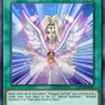 Transcendent Wings