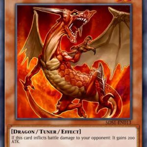 Magna Drago