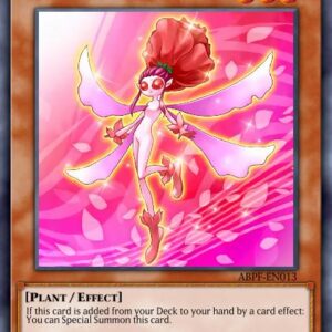 Rose Fairy