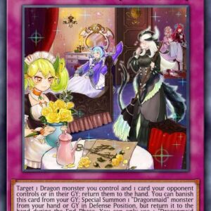 Dragonmaid Tidying
