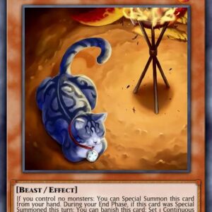 Watch Cat