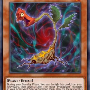 Predaplant Cordyceps