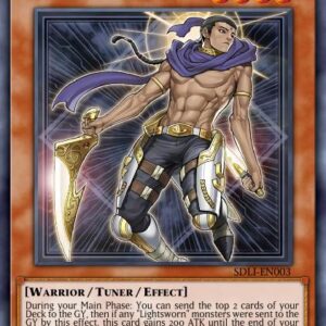 Raiden, Hand of the Lightsworn