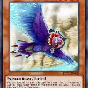 Mist Condor
