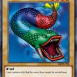 7 Colored Fish