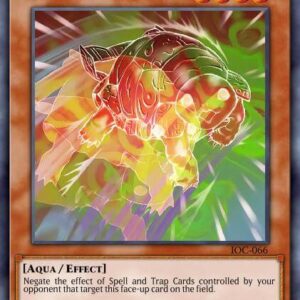 Gora Turtle of Illusion