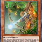 Arcane Archer of the Forest