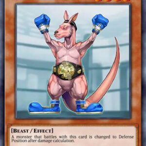 Kangaroo Champ