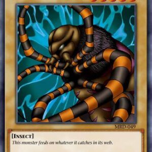 Hunter Spider