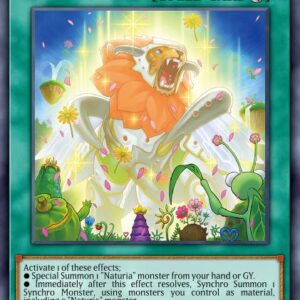 Naturia Blessing