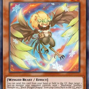 Blackwing - Chinook the Snow Blast