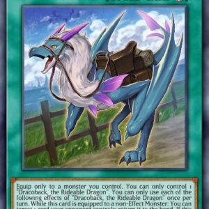 Dracoback, the Rideable Dragon