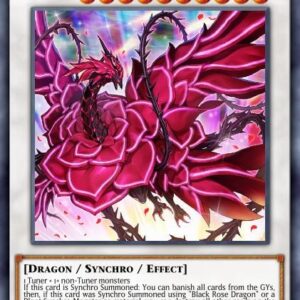 Ruddy Rose Dragon
