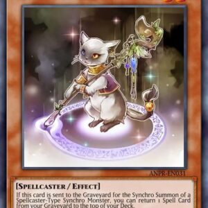 Magicat