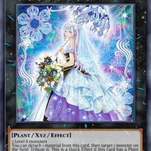Teardrop the Rikka Queen