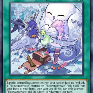 Floowandereeze and the Advent of Adventure