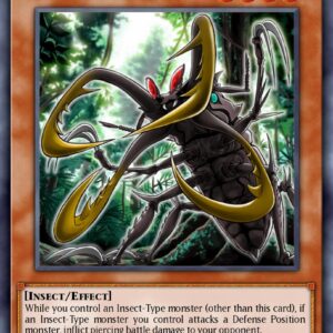 Cross-Sword Beetle