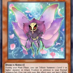 Rose Papillon
