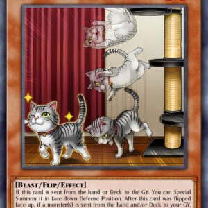 Flipping Feline