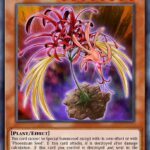 Phoenixian Cluster Amaryllis