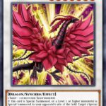 Black Rose Moonlight Dragon