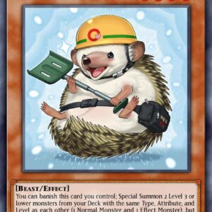 Rescue Hedgehog